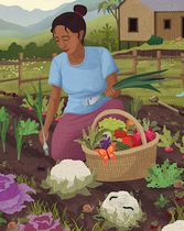 Garden Image - Latin America and the Caribbean